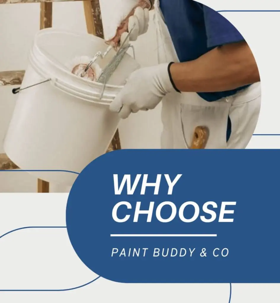Painters Brookvale | PaintBuddyCo