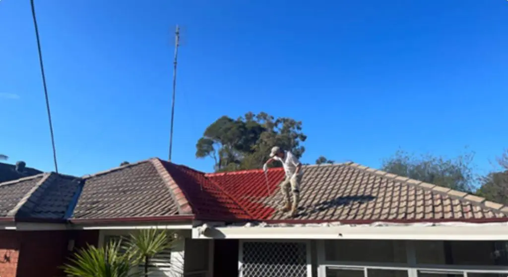 Roof Painting