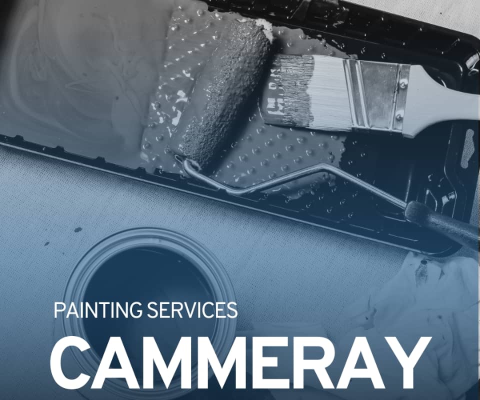 Painters Cammeray | PaintBuddyCo